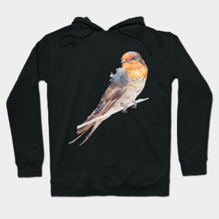 Welcome swallow Hoodie